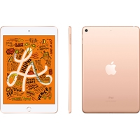 Apple iPad mini 2019 256GB MUU62 (золотой) Image #3