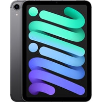 Apple iPad mini 2021 64GB 5G MK893 (серый космос) Image #1