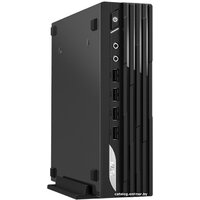 MSI Pro DP21 13M-631XRU 9S6-B0A421-665