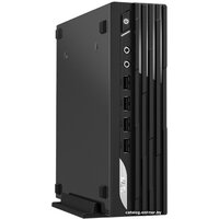 MSI Pro DP21 13M-691RU 9S6-B0A421-691