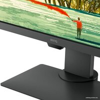 BenQ PD2705Q Image #9