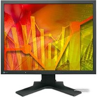 EIZO FlexScan S2133 (S2133-BK)