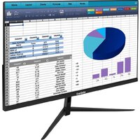 ExeGate SuperView EH2407 EX298353RUS