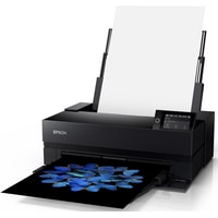 Epson SureColor SC-P900 Image #2