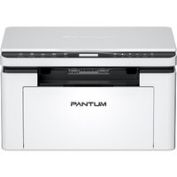 Pantum BM2300