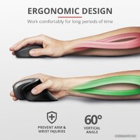 Trust Verro Ergonomic Wireless Mouse Image #13