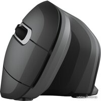 Trust Verro Ergonomic Wireless Mouse Image #3