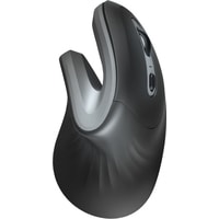 Trust Verro Ergonomic Wireless Mouse