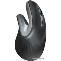 Trust Verro Ergonomic Wireless Mouse Image #1