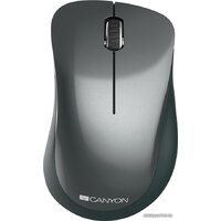 Мышь Canyon MW-11 (черный) - Изображение №1 — Chaika Market