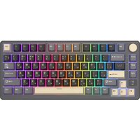 Royal Kludge RK-M75 RGB Phantom (RK Silver)