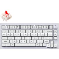 Клавиатура Keychron Q1 QMK V2 Q1-P1 (Gateron G Pro Red, нет кириллицы) — Chaika Market