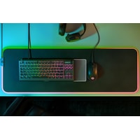 SteelSeries Apex 3 TKL (нет кириллицы) Image #2