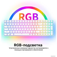 Royal Kludge RK100 RGB (белый, RK Brown) Image #6