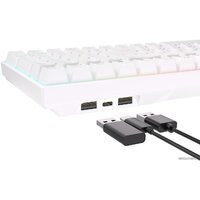 Royal Kludge RK100 RGB (белый, RK Brown) Image #5