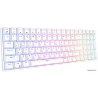 Royal Kludge RK100 RGB (белый, RK Brown) Image #2