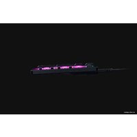 Razer Deathstalker V2 (Razer Low Profile Optical Purple, нет кириллицы) Image #4