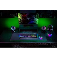 Razer BlackWidow V4 (Razer Yellow, нет кириллицы) Image #3