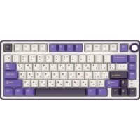 Royal Kludge R75 RGB Blackberry (RK Brown) Image #2