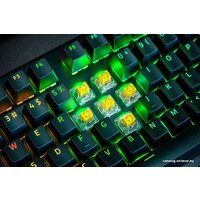 Razer BlackWidow V4 Pro (Razer Yellow) Image #7