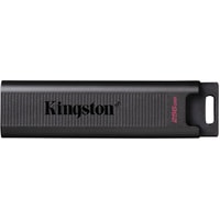 Kingston DataTraveler Max Type-C 256GB Image #1