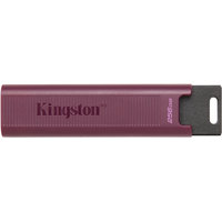 Kingston DataTraveler Max Type-A 256GB Image #1