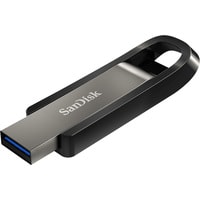 SanDisk Extreme Go 256GB