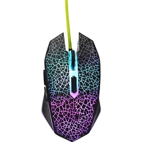 QUMO Solaris Image #3