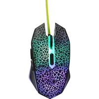QUMO Solaris Image #5