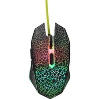 QUMO Solaris Image #4