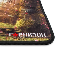 Гарнизон GMP-120 Image #2