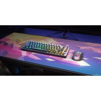 Xtrfy GP5 Litus Pink XL Image #2