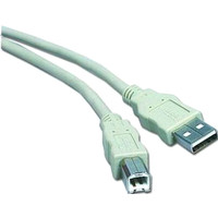 Cablexpert CC-USB2-AMBM-10