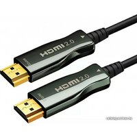 Wize HDMI - HDMI AOC-HM-HM-40M (40 м, черный)
