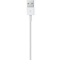 Apple USB 2.0 Type-A - Lightning (1 м, белый) Image #4