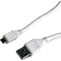 Cablexpert CCP-mUSB2-AMBM-W-1M