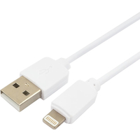 Гарнизон GCC-USB2-AP2-0.5M-W