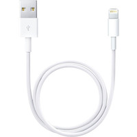 Apple Lightning/USB (0.5 м) ME291ZM/A