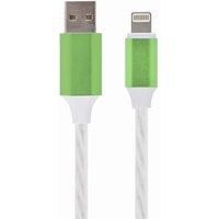 Cablexpert CC-USB-8PLED-1M Image #2