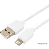 Гарнизон GCC-USB2-AP2-0.3M-W