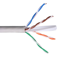 Skynet Cable CS6-UTP-4-CU (305 м, серый)