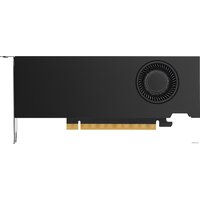 NVIDIA RTX A2000 12GB GDDR6 900-5G192-2250-000