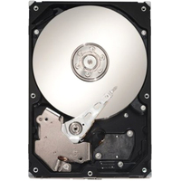 Seagate Cheetah 15K.6 SAS 450GB [ST3450856SS]