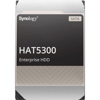 Synology HAT5300 4TB HAT5300-4T Image #1