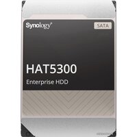 Synology HAT5300 20TB HAT5310-20T