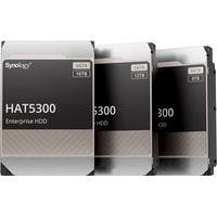 Synology HAT5300 8TB HAT5300-8T Image #2