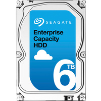 Seagate Enterprise Capacity 6TB (ST6000NM0095)