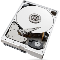 Seagate SkyHawk AI 8TB ST8000VE0004 Image #4