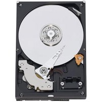 WD Caviar SE 320GB WD3200AAJS