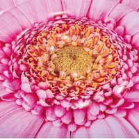 Intex Pink Daisy Flower Mat 58787 Image #3